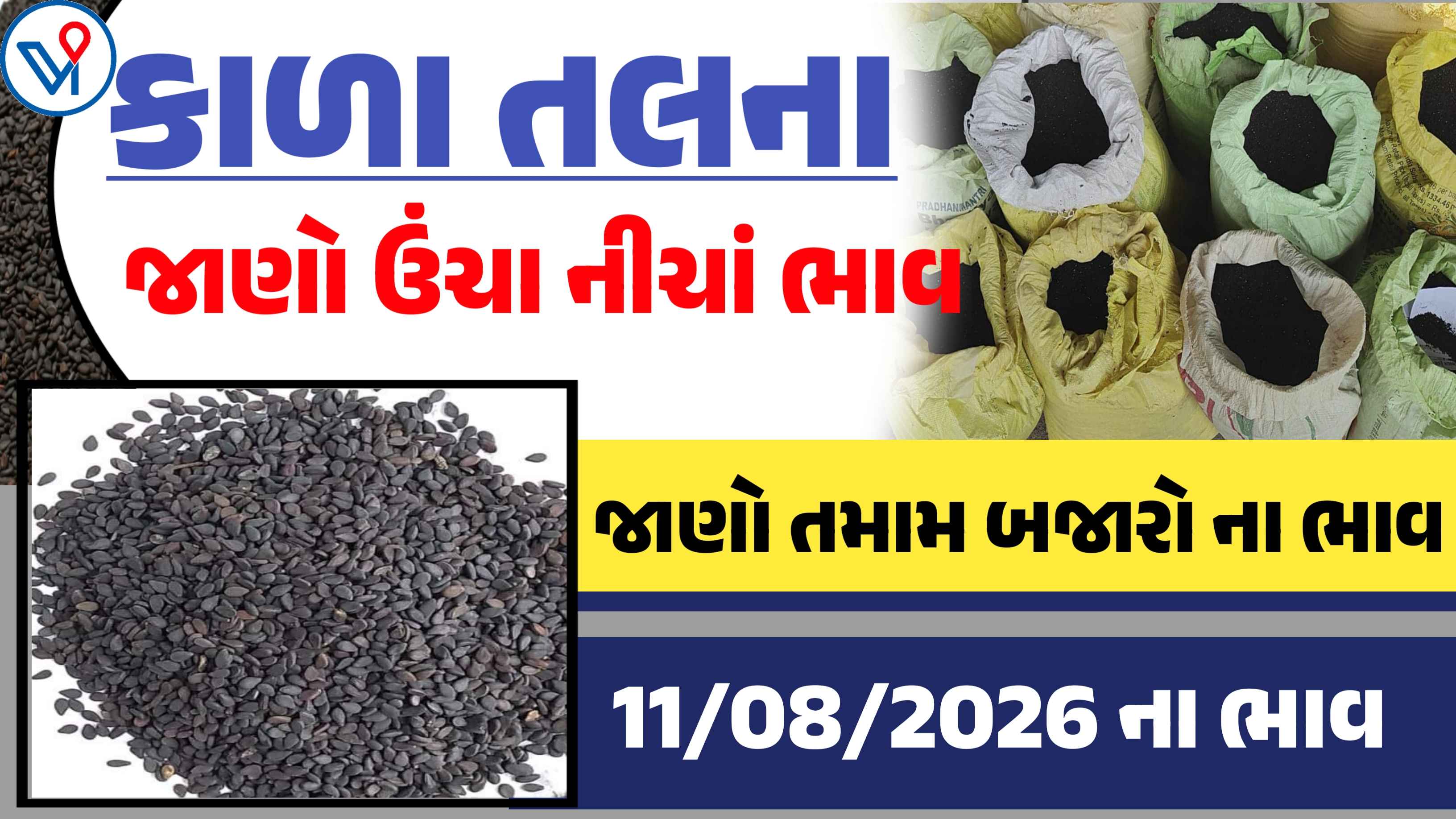કાળા તલના બજાર ભાવ: રાજકોટ, મહુવા, જુનાગઢ| ગુજરાતનાં તમામ માર્કેટ યાર્ડના બજાર ભાવ