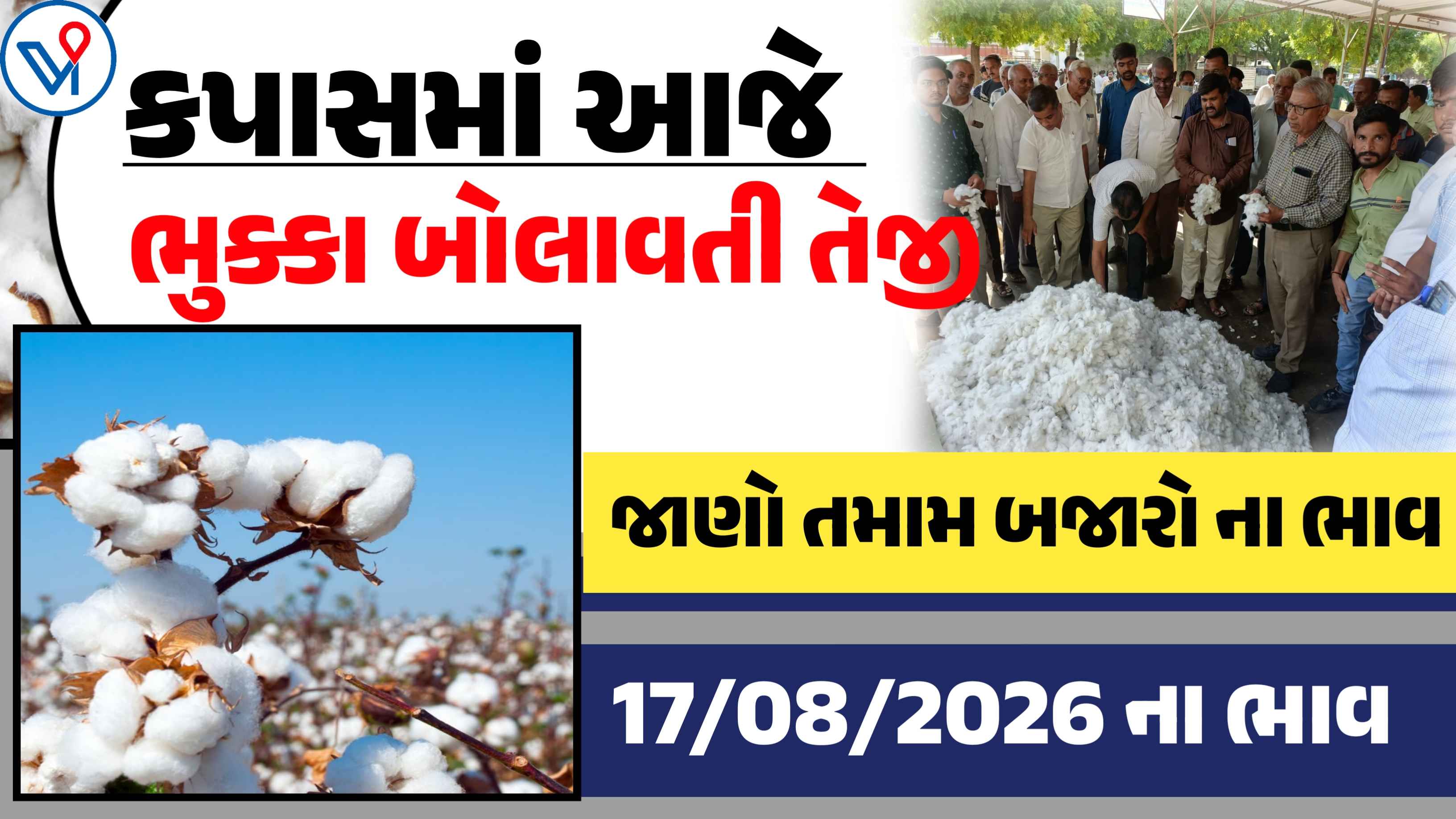 કપાસના બજાર ભાવ| Today cotton price:  ગોંડલ, રાજકોટ, ગુજરાત (17 ઓગસ્ટ 2026)